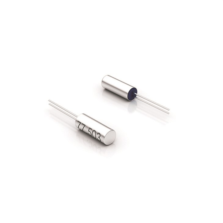 2 Pins Through Hole Crystal 2*6